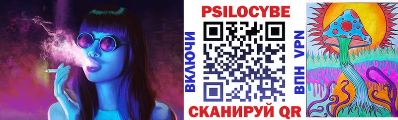 Купить  Белозерск  Галлюциногенные грибы Psilocybine cubensis 